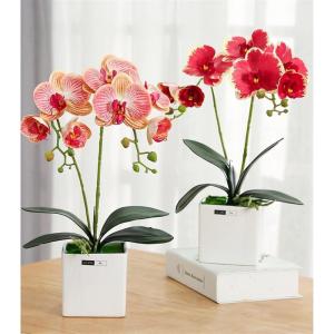 Kunstblumen Künstliches Phalaenopsis-Blumenarrangement, künstliche Orchideen-Bonsai im Topf, Pflanze für Zuhause, Büro, Küche, Schlafzimmer für jeden Anlass