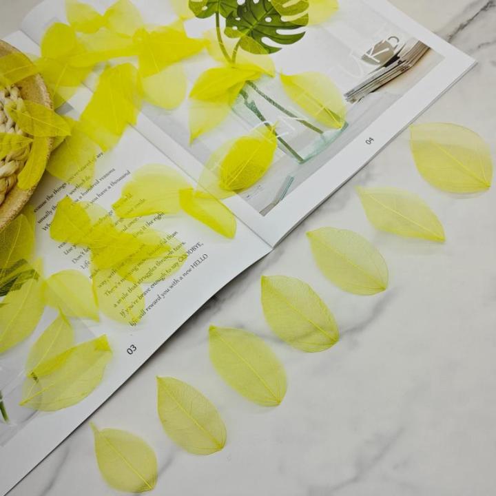 50 stuks kunstbladeren, decoratieve kunstbladeren, slinger, knutselen, droge bladeren, gedroogde vellen, gebruikt voor doe-het-zelf handwerk, scrapbook, handwerk, kaarten maken (ge
