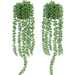 2 Stuks Nep Opknoping Planten Nep Potten Parels Vetplanten Kleine Faux Planten Voor Indoor Outdoor Plank Muur Decor