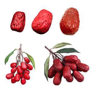 Künstliches Rotdatum, realistisches Jujube-Ornament, simuliertes getrocknetes Nussmodell für Fotografie, Bürodekorationen
