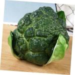 Simulierter Blumenkohl Gemüsemodelle Lebensechter Brokkoli Requisiten Präsentieren Küchendekoration Simulation Gefälschter Brokkolimodelle Künstliche Brokkoli-dekore Green Sch