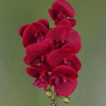 Künstliche Orchidee, 46 cm, Rot mit silberfarbenem Topf
