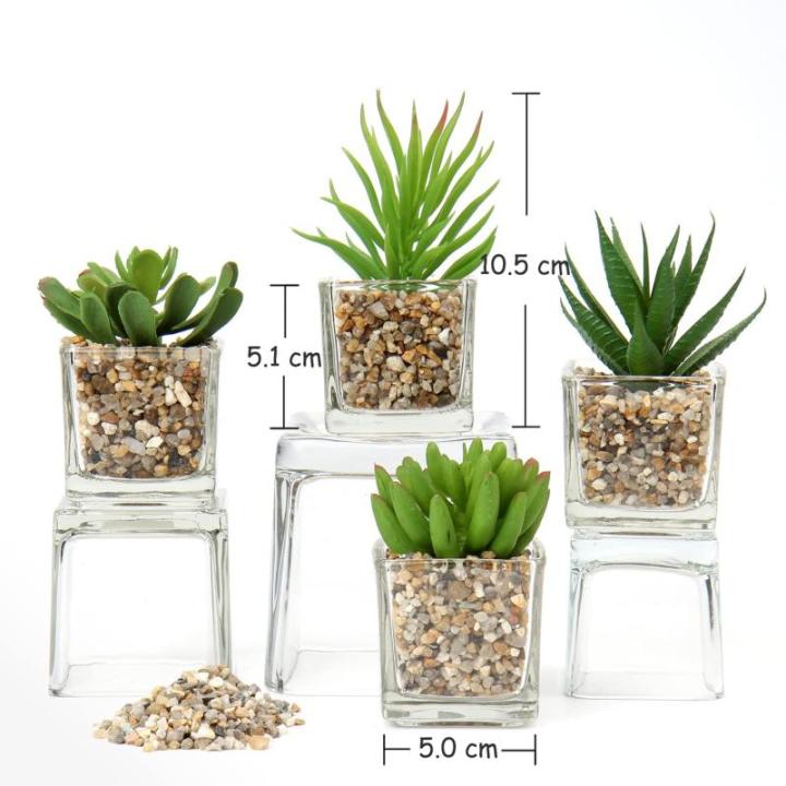 Kunstplant kunstmatige vetplant kamerplant decoratieve woonkamer, badkamer decoratieve plant vetplant, hoogte 10,5 cm, in glazen pot, set van 4