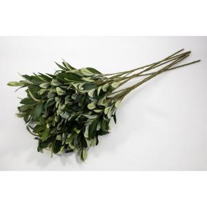 6 stuks - olijftak Corsica 75cm ZF kunstmatige tak olijven