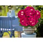 Grote hortensia, kunstbloemen, rozerood, realistische hortensia, boeket, kunstbloemen, zijde, hydrangea, bloemenarrangementen, echte touch, kunsthortensia voor bruiloft, kantoor, c