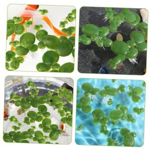 3 Sätze Wasserlinsen-Kunststoff Künstliche Pflanzen Artificial Pflanzen Aquarium Dekoration Gefälschte Schwimmende Entengrütze Künstliche Wasserlinsenpflanze Plastik 90 Stück
