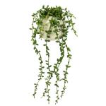 Senecio Kunstplant, hangplant, hangplant, vetplanten, wanddecoratie, kunstbloem, kunstplant, hangende hangende klimop, groene hanger, groene planten, kamerplant, decoratieve plant,