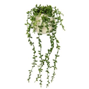 Senecio Kunstplant, hangplant, hangplant, vetplanten, wanddecoratie, kunstbloem, kunstplant, hangende hangende klimop, groene hanger, groene planten, kamerplant, decoratieve plant,