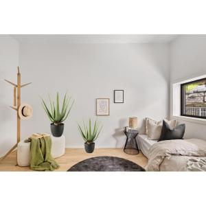 Aloë Vera plant, kunstplant, kunstboom, kunstplant, decoratie, in zwarte pot, zeer realistisch, groen, 45 cm - MN-KP-2218