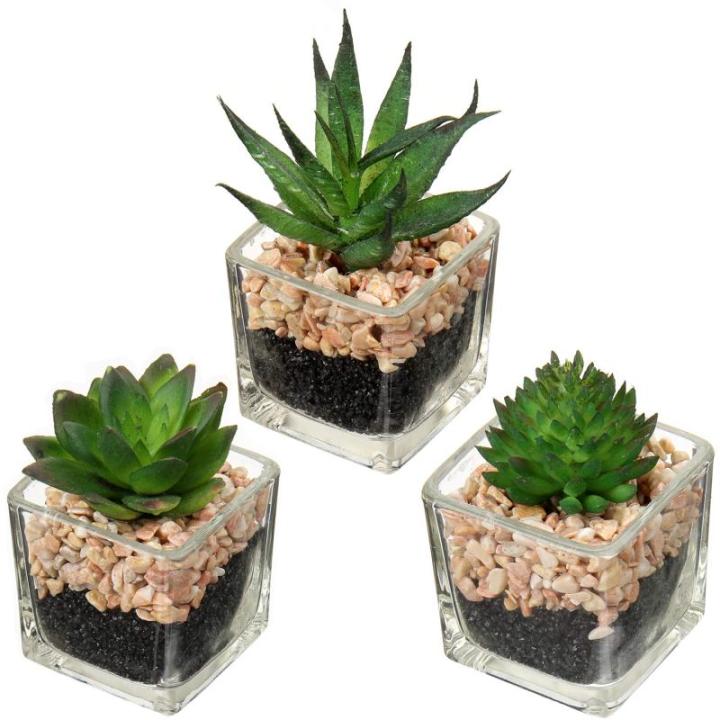 Kunstplant kunstmatige vetplant kamerplant decoratieve woonkamer, badkamer decoratieve plant vetplant, hoogte 10,5 cm, in glazen pot, set van 3