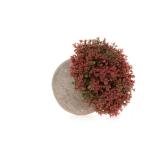 Plastic Nep Planten met Potten Decoratieve Kleurrijke Levensechte Bloem voor Thuis/Kantoor Decor Pak van 6