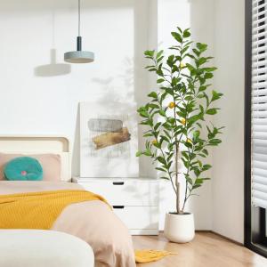Citroenboom, , 180 cm, grote citroenboom met levensechte vruchten in witte pot, als echt voor moderne decoratie (1 stuks)