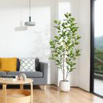 Citroenboom, , 180 cm, grote citroenboom met levensechte vruchten in witte pot, als echt voor moderne decoratie (1 stuks)