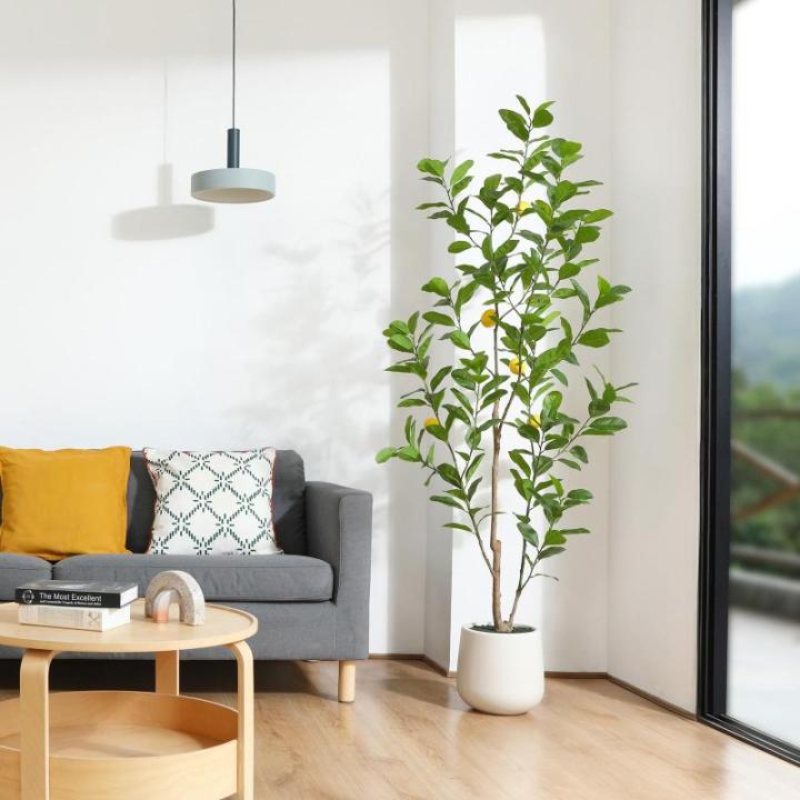 Citroenboom, , 180 cm, grote citroenboom met levensechte vruchten in witte pot, als echt voor moderne decoratie (1 stuks)