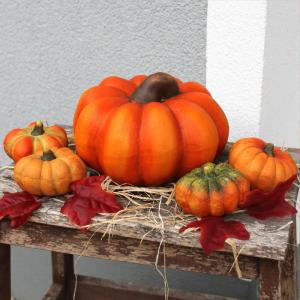 Zierkürbisse bunt als Herbst-Deko im 5er Set - Keramik Deko-Kürbisse als wetterfeste Outdoor Gartendeko - Kürbis-Deko als Erntedankfest Zimmer-Deko oder draußen Haustür Hallow