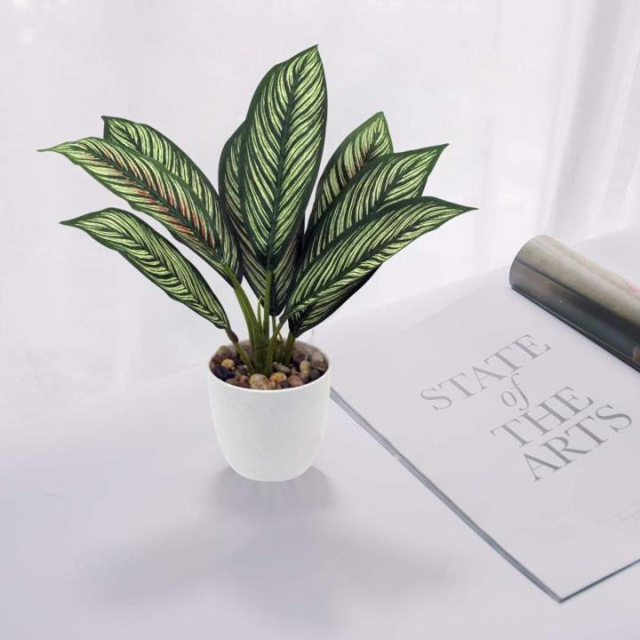 Künstliche Calathea Zimmerpflanze Kunstpflanze Buschig mit 8 gefärbten Blättern im Kunststofftopf, Höhe 33cm, Grün-Rot