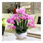 Kunstblumen Künstliche Orchideen – Realistische Touch-Orchideen-Bonsai in Keramikvase, Phalaenopsis-Kunstblumen-Arrangement im Topf für jeden Anlass