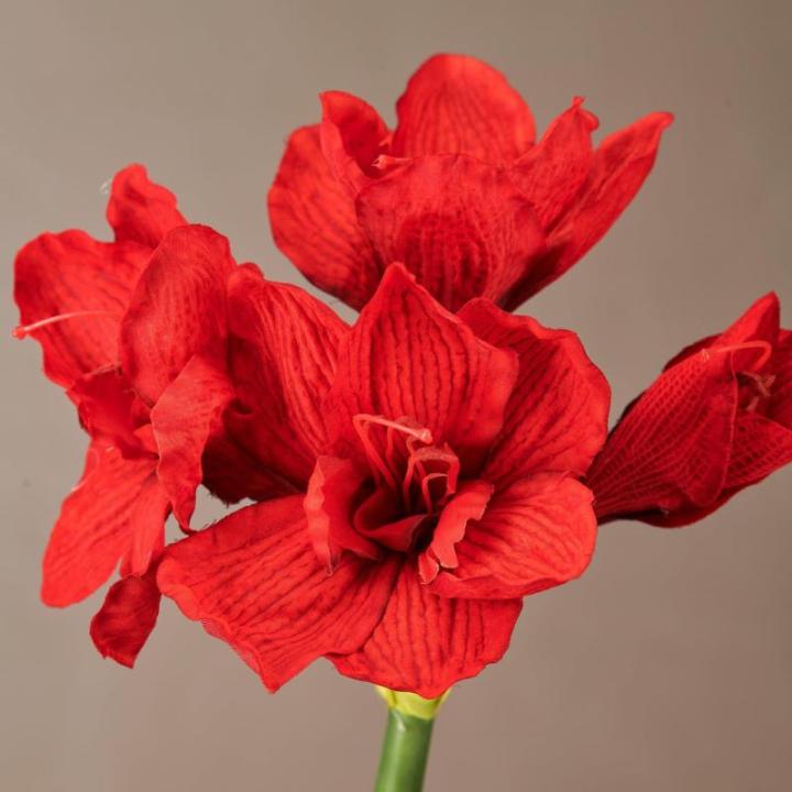 Amaryllis, 68cm, rood, Real Touch