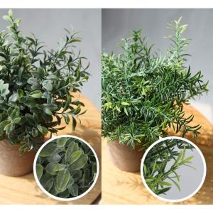 Kunstmatige Potplant, Set van 3 Mini Artificiële Pot Planten Plastic Eucalyptus Planten Faux Rozemarijn Planten voor Thuis Tuin Bureau Douche Kamer Binnen & Buiten Huis Decor