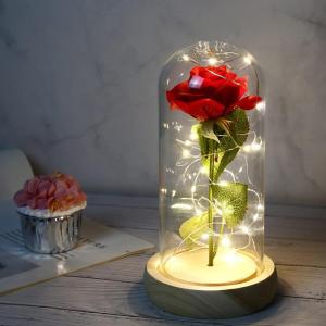 Die Beautiful and the Best Rose, eeuwige roos in transparante koepel, rozencadeau voor Moederdag, jubileum, verjaardag, Valentijnsdag, kamerdecoratie