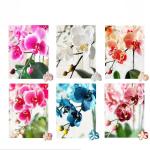 Kunstblumen Künstliches Phalaenopsis-Blumenarrangement – ​​Seidenorchideen für Heimdekoration, Hochzeiten, Partys und Büro – lebensecht für jeden Anlass