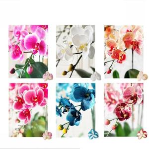 Kunstblumen Künstliches Phalaenopsis-Blumenarrangement – ​​Seidenorchideen für Heimdekoration, Hochzeiten, Partys und Büro – lebensecht für jeden Anlass