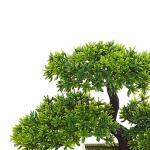 Kunstbonsai-boom, kleine , entertainmentdecoratie, ingepotte Japanse dennen voor open haard, badkamer, woonkamer