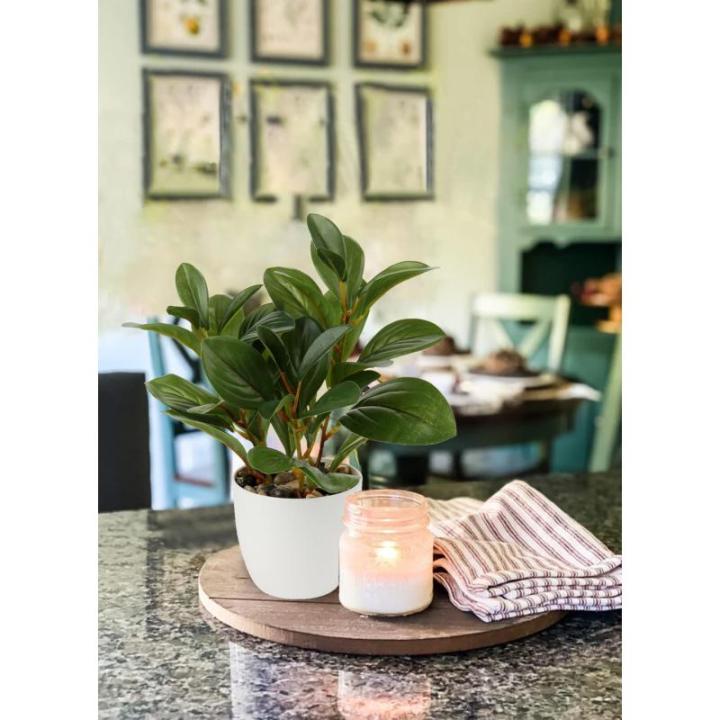 in pot, 28 cm, voor woondecoratie, kunstmatige kamerplant, camellia, bloemstukken, thuis- en kantoordecoratie, desktop, bonsai, met potten, tafeldecoratie, huis, balkon,