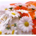 100 x Witte kunstmatige madeliefjes kunst madeliefje stof bloemen hoofden, feest bruiloft tafel verstrooit tafel confetti plakboek accessoire kaart maken decoratie