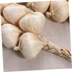 1 Satz Künstliches Gemüse Beige Künstlicher Knoblauch Künstliche Lebensmittel Knoblauch-Modell Knoblauchknolle Gefälschter Knoblauch Gefälschtes Gemüsemodell Schaumgemüse 2