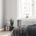 Sansevieria , 2 stuks, hoogte 64 cm, , decoratie, woonkamer, plant, kamerplanten, balkon, kantoor, decoratie, kunstplant voor tuin, kantoordecoratie
