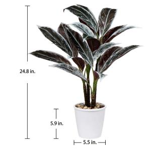 24 "Kunstmatige Cordyline Fruticosa Plant Decoratieve Indoor Tropische Nep Planten in Witte Pot voor Thuis of Kantoor