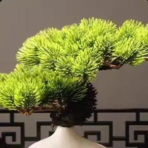 Kunstmatige Bonsai Boom Simulatie Welkom Pine Bonsai Scherm Decoratie Zen Woonkamer Decoratie Gateway Kast Kantoor Kunstmatige Bomen Planten (Maat: B)