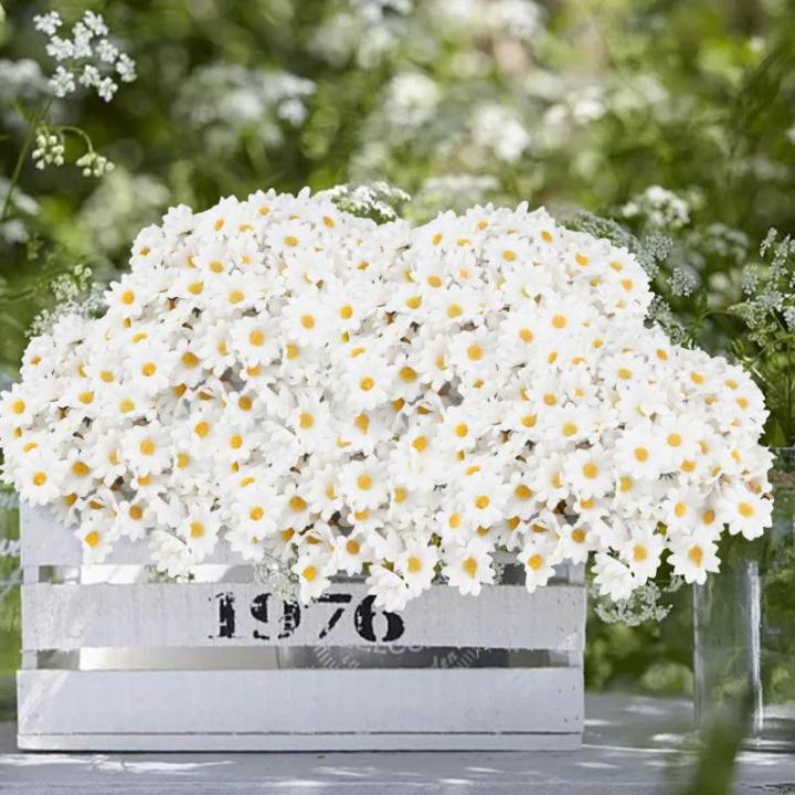 200 stuks madeliefjes, madeliefjes, decoratie, strooidecoratie, net echt, balkon, geschikt voor presentatie op balkons, bruiloften, feesten