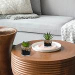 Kunstplant kunstmatige vetplant kamerplant decoratieve woonkamer, badkamer decoratieve plant vetplant, hoogte 10,5 cm, in glazen pot, set van 3