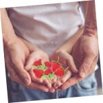 4 Sätze Simulierte Erdbeere Künstliche Fruchtdekoration Künstliche Früchte Gefälschte Erdbeeren Für Künstliches Backen Miniaturfrüchte Erdbeerdekorationen 18 Stück * 4