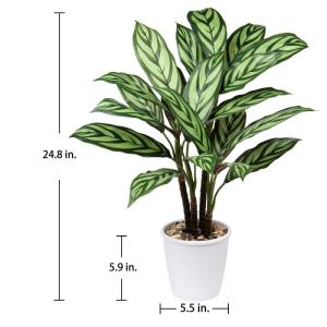 24 inch Kunstmatige Calathea Majestica Exotica Plant Faux Calathea Plant Decoratieve Indoor Nep Plant in Witte Pot voor Thuis of Kantoor