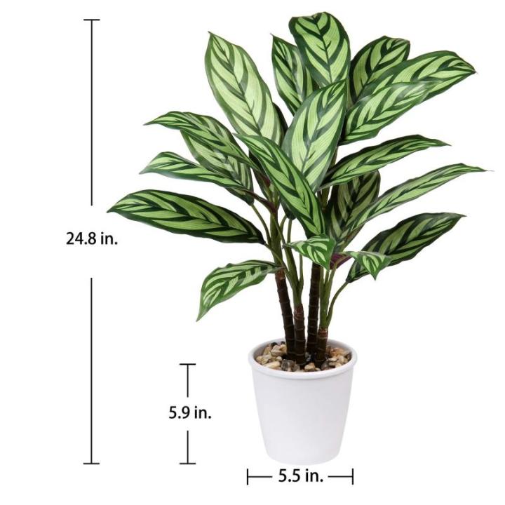 24 inch Kunstmatige Calathea Majestica Exotica Plant Faux Calathea Plant Decoratieve Indoor Nep Plant in Witte Pot voor Thuis of Kantoor