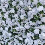 3D-Rosen-Blumen-Wandpaneel, Weiße Stoffbasis, Gefälschte Seide, Hochzeit, Party, Fotostudio, Blumen-Wandhintergrund Für Innen- Und Außendekoration(2 * 3M)