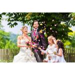 (Getrennt, Desodoriert) Künstliche gefälschte Rosenblätter für Romantische Nacht, Hochzeit, Event, Party, Dekoration, in Loser Schüttung (1000 Stücke, Allmählicher Lavendel)
