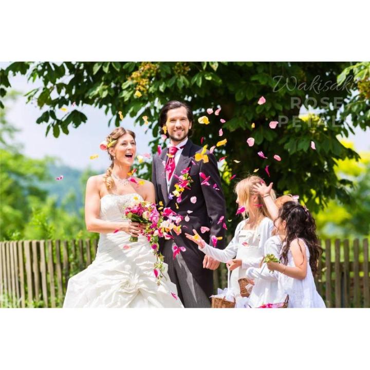 (Getrennt, Desodoriert) Künstliche gefälschte Rosenblätter für Romantische Nacht, Hochzeit, Event, Party, Dekoration, in Loser Schüttung (1000 Stücke, Allmählicher Lavendel)