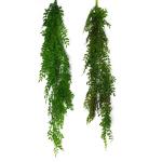 Ontwerp Kunstmatige Opknoping Varen Planten, Evergreen Licht, 100cm