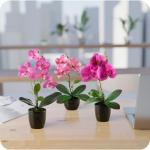 in pot (35 cm), set van 3 kunstorchideeën, kunstmatig afgestemde arrangement in hoogglans-keramische potten, decoratieve kunstorchideeën (rosé-arrangement)