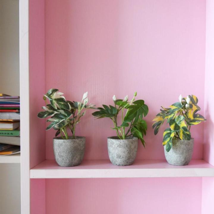 3 stuks , mini-, echte eucalyptus, rozemarijn, babyborrel, klein, met potten, tafeldecoratie, huis, balkon, kantoor, decoratie (3, groen)