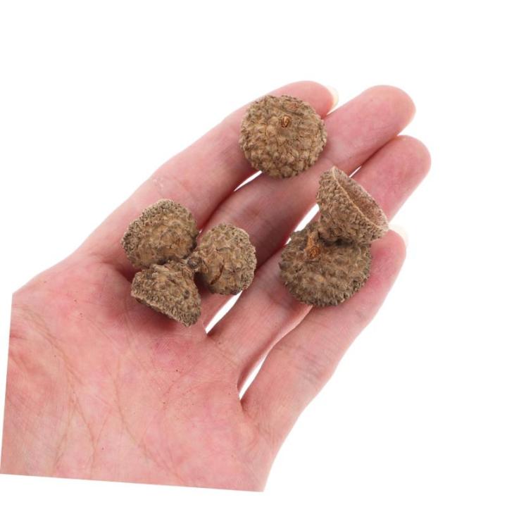 300 STK natürliche Eichel weihnachtsdeko Christmas Decorations weihnacjtsdeko Weihnachten Dekoration Fallen Vase Eichelfüller trockene Eichelverzierung Eichelschale Eichel Handwe