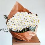 200 stuks kleine , slinger, , witte madeliefjes voor slingers, corsages, bloemenornamenten