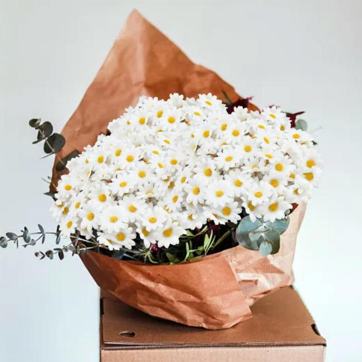 200 stuks kleine , slinger, , witte madeliefjes voor slingers, corsages, bloemenornamenten