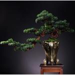 Künstlicher Bonsai-Baum Künstlicher Bonsai-Baum for den Innenbereich, groß, grün, Simulation Willkommenskiefer, Bonsai-Baum, Wohnzimmer, Büro, Desktop-Dekoration, künstliche 