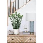 Kunstplant eucalyptus kunstplant lijkt op echte kamerplanten, decoratieve planten in witte pot, hoogte 40 cm