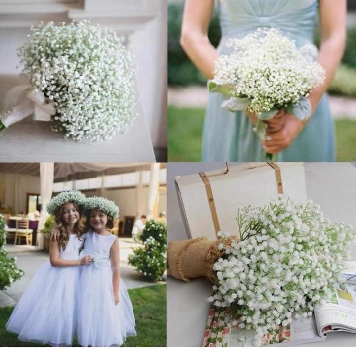 Gypsophila , 10 stuks Gypsophila-planten, voor bruiloft, bruidsboeket, thuis, knutselen en decoratie (wit)